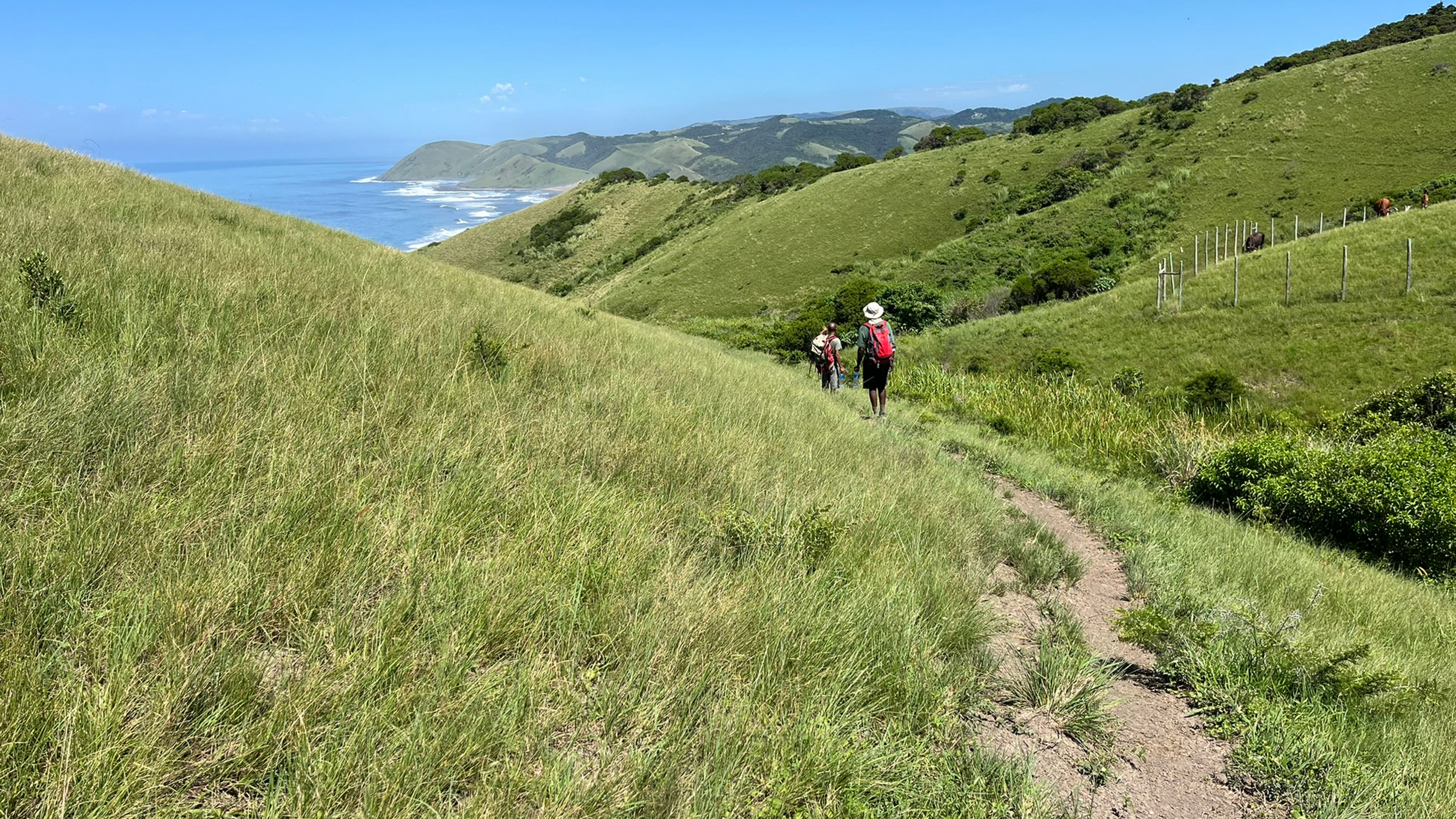 Pondo Wildcoast Trail